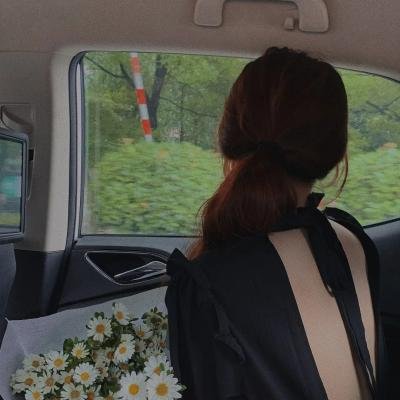 达太安的秘密打击